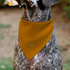 Pet Bandana - The Lion King Young Simba CIRCLE OF LIFE Pose Oranges/Black