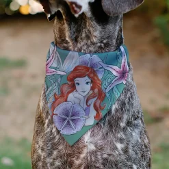 Pet Bandana - The Little Mermaid Ariel Pose and Shells Sketch