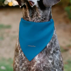 Pet Bandana - Toy Story Rex Pop Art Pose Blue/Multi Color