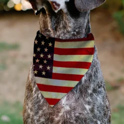 Pet Bandana - Vintage US Flag Repeat