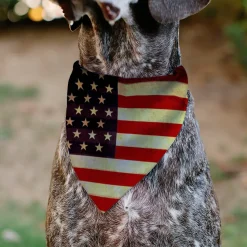 Pet Bandana - Vintage US Flag Repeat