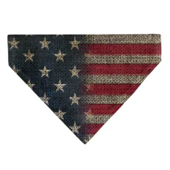 Pet Bandana - Vintage US Flag Stretch