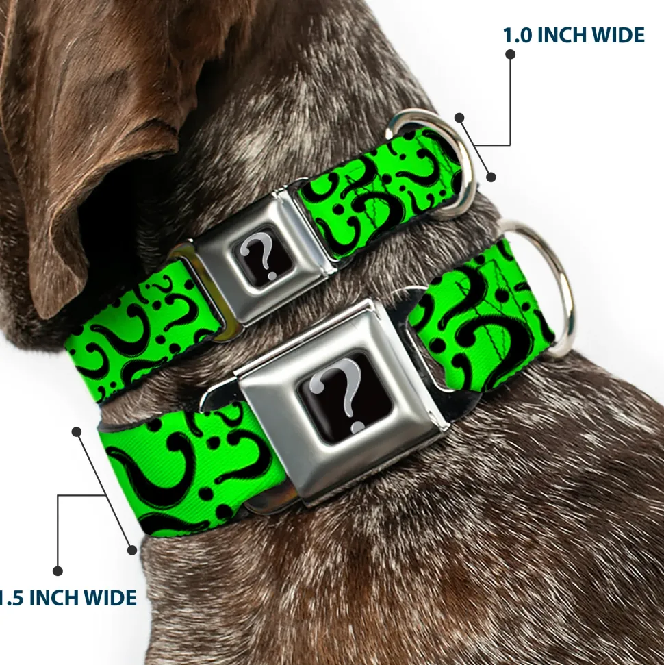 Riddler "?" Black Silver Seatbelt Buckle Collar - Question Mark Scattered Lime Green/Black