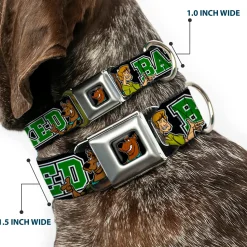 Scooby Doo Face Full Color Black Seatbelt Buckle Collar - Scooby Doo & Shaggy Pose/BAKED Black/Green