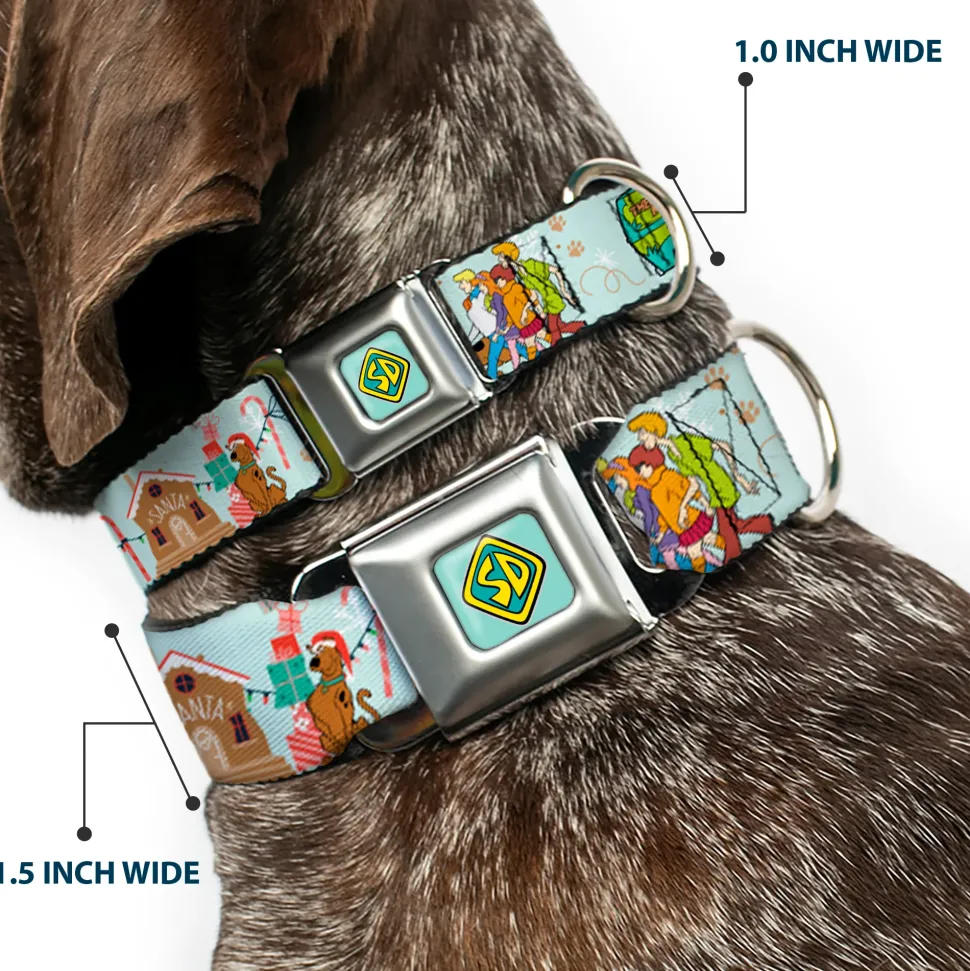 Scooby Doo SD Dog Tag Baby Blue Seatbelt Buckle Collar - Scooby Doo Holiday Scenes and Icons Baby Blue