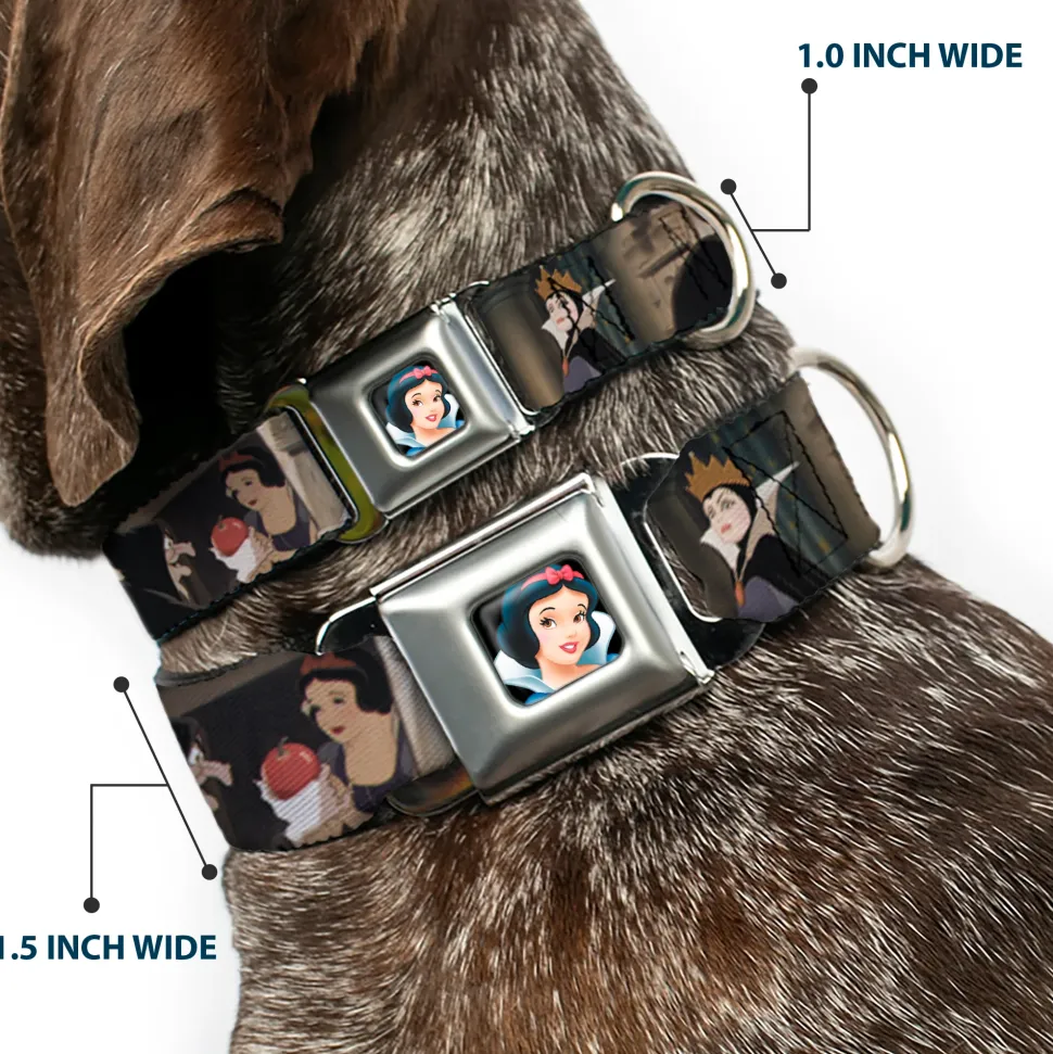 Snow White Full Color Black Seatbelt Buckle Collar - Snow White Scenes