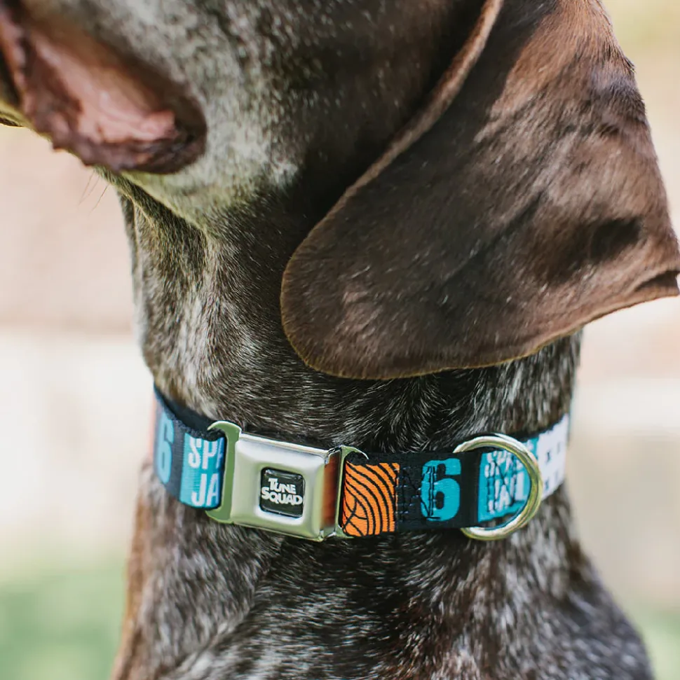 Space Jam 2 TUNE SQUAD Logo Full Color Black/White Seatbelt Buckle Collar - SPACE JAM Number 6 Blocks Black/Turquoise/White/Red