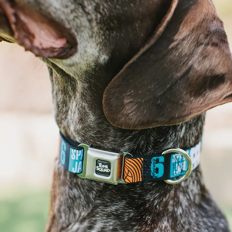 Space Jam 2 TUNE SQUAD Logo Full Color Black/White Seatbelt Buckle Collar - SPACE JAM Number 6 Blocks Black/Turquoise/White/Red