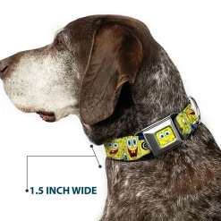 Sponge Bob Face CLOSE-UP Full Color Seatbelt Buckle Collar - SpongeBob Expressions Stripe Blue
