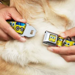 Sponge Bob Face CLOSE-UP Full Color Seatbelt Buckle Collar - SpongeBob Expressions Stripe Blue