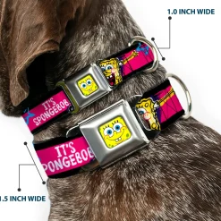 SpongeBob Face CLOSE-UP Full Color Seatbelt Buckle Collar - SpongeBob Pose IT'S SPONGEBOB! Stripe Black/Pink/Blue/White