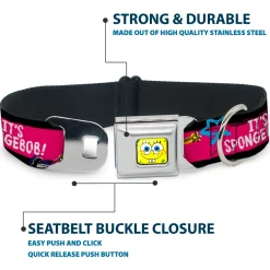 SpongeBob Face CLOSE-UP Full Color Seatbelt Buckle Collar - SpongeBob Pose IT'S SPONGEBOB! Stripe Black/Pink/Blue/White