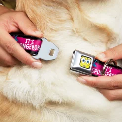 SpongeBob Face CLOSE-UP Full Color Seatbelt Buckle Collar - SpongeBob Pose IT'S SPONGEBOB! Stripe Black/Pink/Blue/White