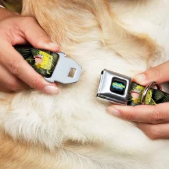 SpongeBob SquarePants Logo2 Full Color Black Seatbelt Buckle Collar - Primitive Sponge Pose/Leaves Black/Green