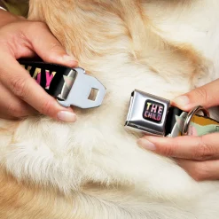 Star Wars THE CHILD Text Full Color Full Color Black/Multi Color Seatbelt Buckle Collar - Star Wars The Child Chibi Pod Pose THIS IS THE WAY Black/Multi Color