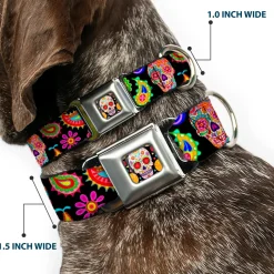 Sugar Skull Starburst Full Color Black/Multi Color Seatbelt Buckle Collar - Bobo Sugar Skull/Paisley Black/Multi Color