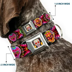 Sugar Skull Starburst Full Color Black/Multi Color Seatbelt Buckle Collar - Six Sugar Skulls Multi Color