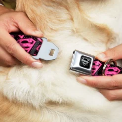 Superman Black Silver Seatbelt Buckle Collar - Diagonal Superman Logo w/Hearts Black/Pink