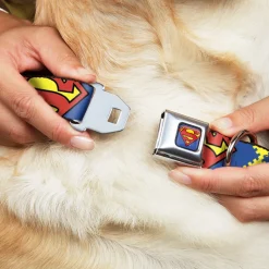 Superman Blue Seatbelt Buckle Collar - Jagged Superman Shield CLOSE-UP Yellow/Blue/Red