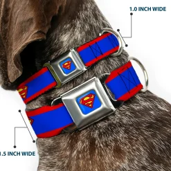 Superman Full Color Blue Seatbelt Buckle Collar - Superman Shield/Stripe Red/Blue
