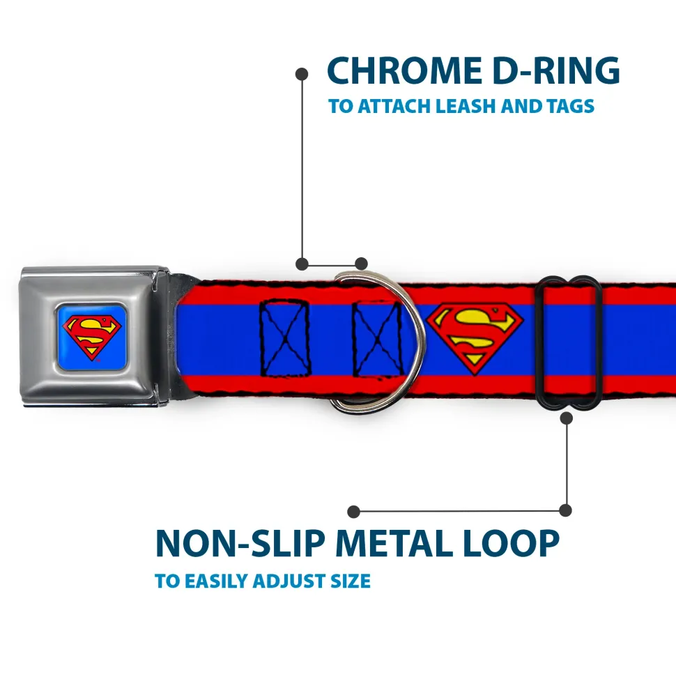 Superman Full Color Blue Seatbelt Buckle Collar - Superman Shield/Stripe Red/Blue
