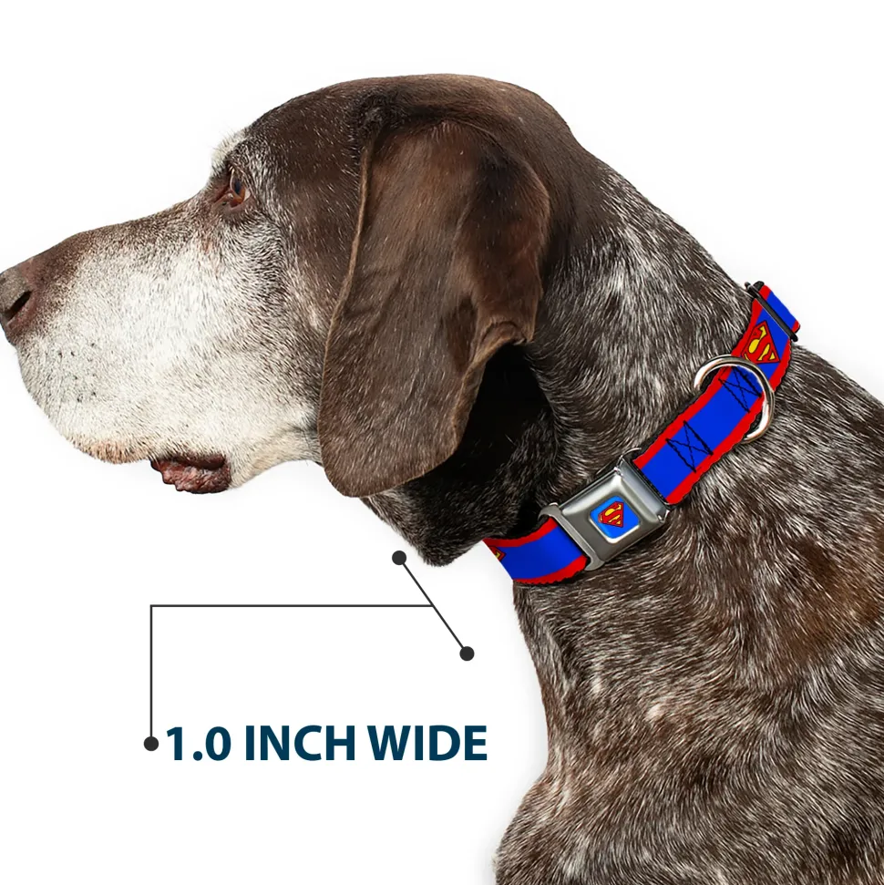 Superman Full Color Blue Seatbelt Buckle Collar - Superman Shield/Stripe Red/Blue