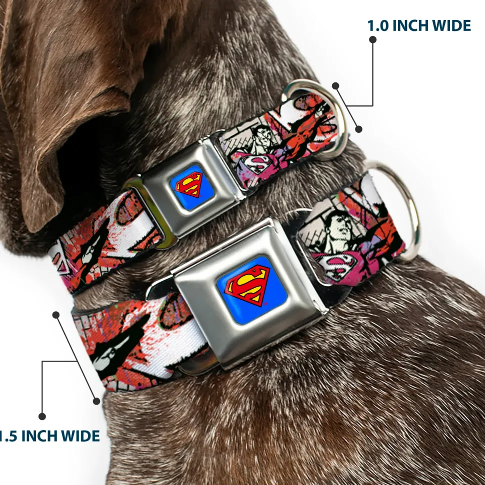 Superman Full Color Blue Seatbelt Buckle Collar - Superman Color Flying Bricks Scene