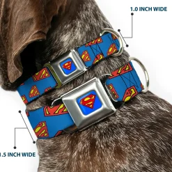 Superman Full Color Blue Seatbelt Buckle Collar - Super Shield Diagonal Royal Blue/Red