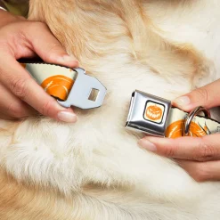 The Nightmare Before Christmas Pumpkin Ivory/Orange Seatbelt Buckle Collar - The Nightmare Before Christmas Jack Pose and Pumpkins Collage Ivory/Orange/Black