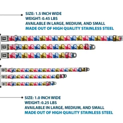 THE WIZARD OF OZ Title Logo Full Color Black/White Seatbelt Buckle Collar - The Wizard of Oz Dorothy and Toto Pose Blocks Blues/Yellows/Reds