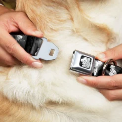 Tinker Bell CLOSE-UP Full Color Black White Seatbelt Buckle Collar - Tinker Bell Scenes Black/White