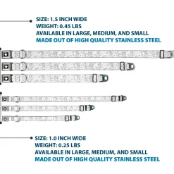 Tinker Bell Star Full Color Black/White Seatbelt Buckle Collar - Tinker Bell Poses/Stars Outline White/Black