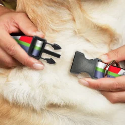 Toy Story Buzz Lightyear Space Ranger Wings Icon Full Color Green/Blue/White Seatbelt Buckle Collar - Toy Story Buzz Lightyear Space Ranger Logo/Striping Red/White/Green/Purple