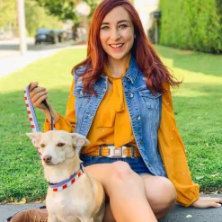 Toy Story Woody Cowboy Buckle Logo Full Color Golds Seatbelt Buckle Collar - Toy Story Woody Bounding Plaid Shirt Gold/Red