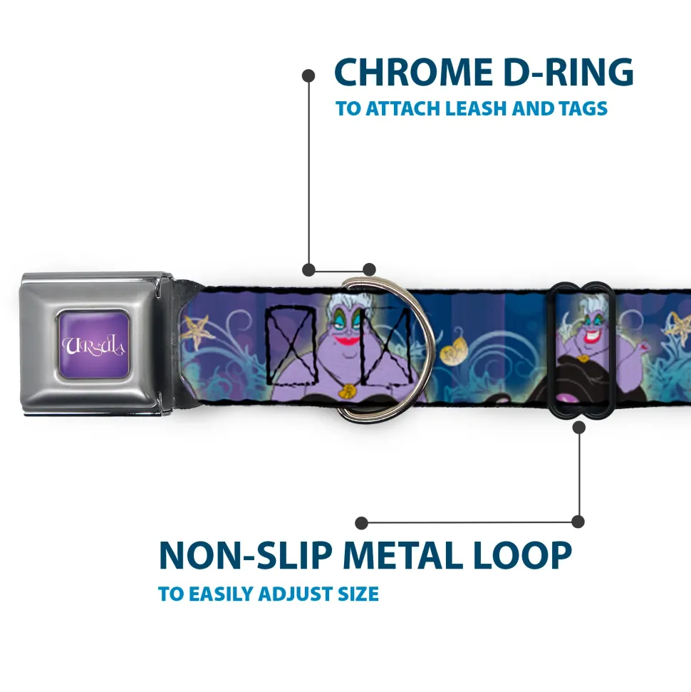 URSULA Full Color Purple-Fade/White Seatbelt Buckle Collar - Ursula 4-Poses/Shells/Ivy/Bubbles Purples/Blues