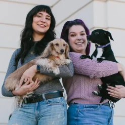 Vegan Leather Dog Collar - Disney Purple PU w Silver Cast Minnie Mouse Bow Embellishments and Charm