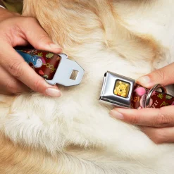 Winnie the Pooh Face Full Color Radial Brown Fade Seatbelt Buckle Collar - Winnie the Pooh Character Poses