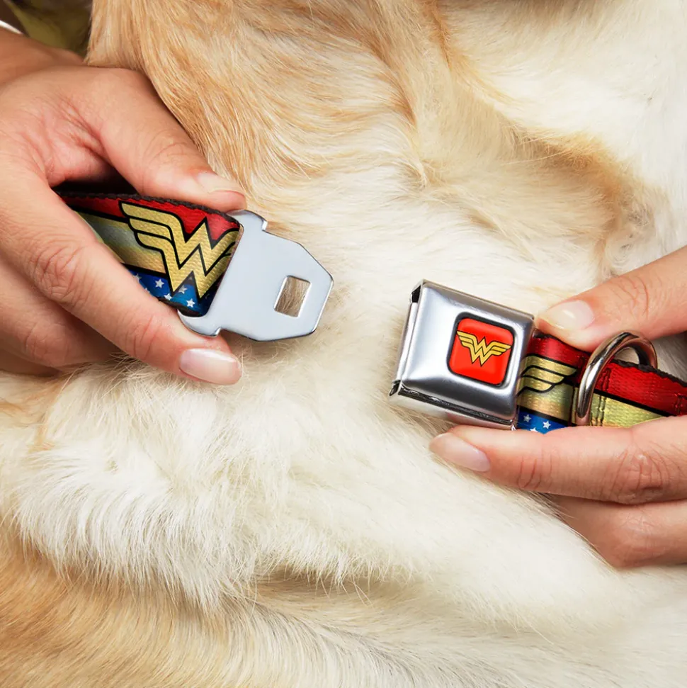 Wonder Woman Logo Full Color Red Seatbelt Buckle Collar - Wonder Woman Logo Stripe/Stars Red/Gold/Blue/White