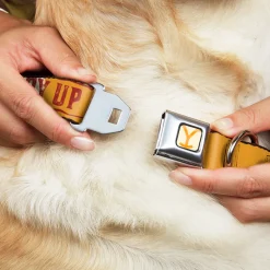 Yellowstone Y Logo Weathered Full Color White/Yellow Seatbelt Buckle Collar - Yellowstone Y Logo COWBOY UP Text Yellow/Red/White